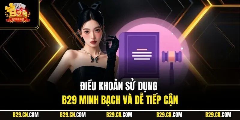Điều khoản sử dụng B29 minh bạch và dễ tiếp cận