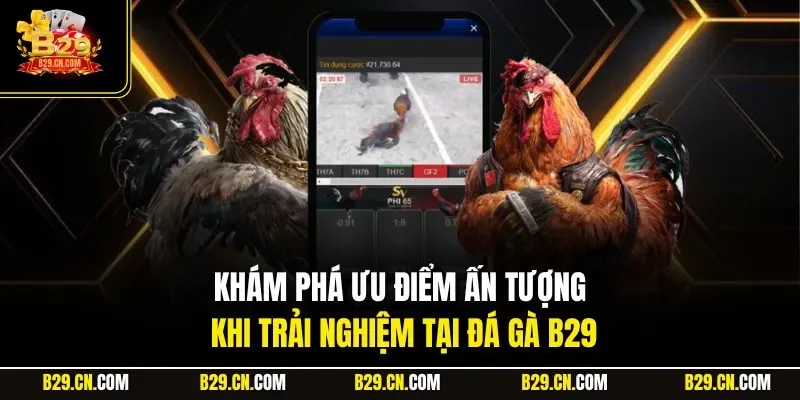 Khám phá ưu điểm ấn tượng khi trải nghiệm tại đá gà B29