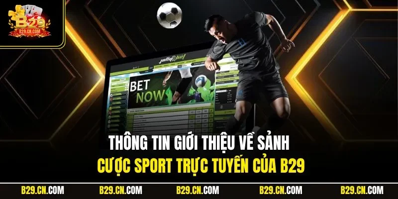 Thông tin giới thiệu về sảnh cược Sport trực tuyến của B29